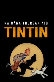 Những Cuộc phi&ecirc;u Lưu của Tintin (1991)