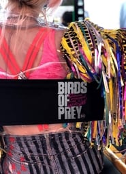 Birds of Prey (And the Fantabulous Emancipation of One Harley Quinn)