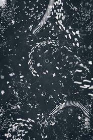 Poster A4 Microcosm 2018