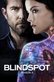 Blindspot Temporada 3 Capitulo 1