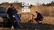 Chien de la casse