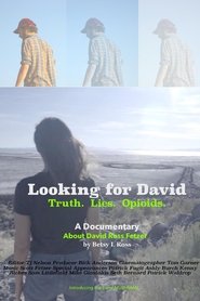 Poster Looking for David 1970