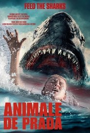 Animale de pradă (2025)