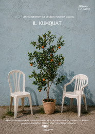 Il Kumquat
