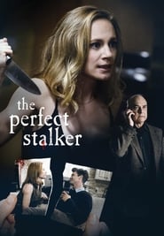 Poster The Perfect Stalker