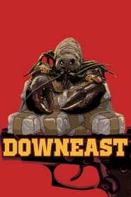 Downeast постер