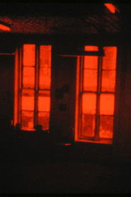 WVLNT: Wavelength For Those Who Don’t Have The Time