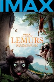 Poster Island of Lemurs: Madagascar 2014