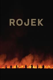 Poster Rojek