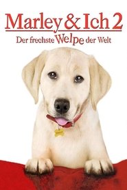 Poster Marley & Ich 2 - Der frechste Welpe der Welt