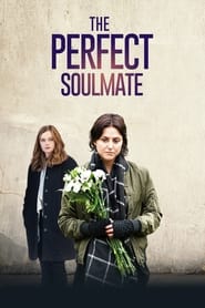Poster The Perfect Soulmate 2017