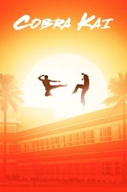 Cobra Kai film en streaming