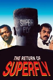 Full Cast of The Return of Superfly