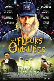 Les fleurs oubliées