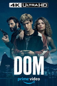 DOM постер