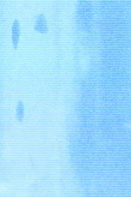 summer afternoon (hypnagogic decay)