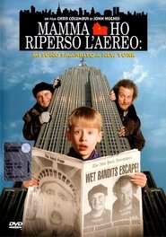 Mamma, ho riperso l’aereo: Mi sono smarrito a New York