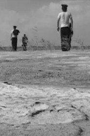 History of Chemistry