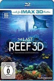 The Last Reef: Cities Beneath the Sea