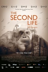 The Second Life постер
