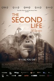 The Second Life 2022 Безплатен неограничен достъп
