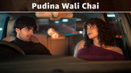 Pudina Wali Chai