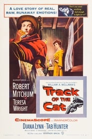 Track of the Cat постер