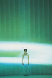 Dumb Type: OR (2009)