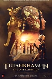 مترجم أونلاين و تحميل Tutankhamun: The Last Exhibition 2022 مشاهدة فيلم