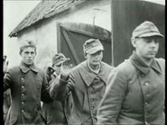 Warrior: Reflections of Men at War