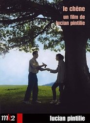 The Oak (1992) The Oak (1992)