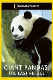 Poster Giant Pandas: The Last Refuge