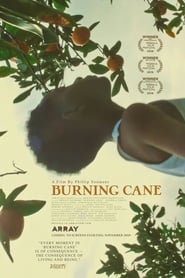 Burning Cane постер