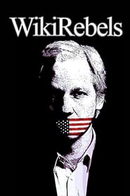 Wikileaks – Rebellen im Netz (2010)