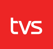 Logo for TV Syd