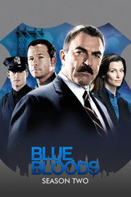 Blue Bloods Season 2 11