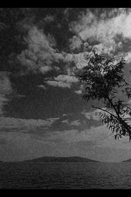 Desolation Desolation