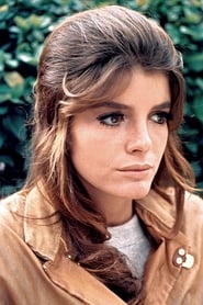 Katharine Ross as Capt. Helena Anderson