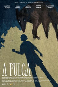 Image A Pulga