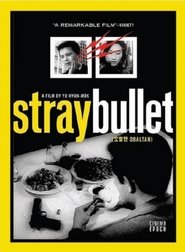 The Stray Bullet The Stray Bullet
