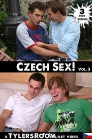 Poster Czech Sex 3 2011