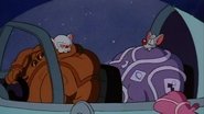 A Pinky and the Brain Christmas
