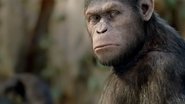 La Planète des singes : Les Origines en streaming