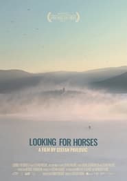 Looking for Horses (2021)