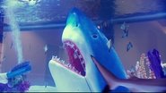 Fish Out of Water