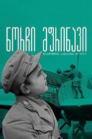 Gogi - The Young Pilot (1929)