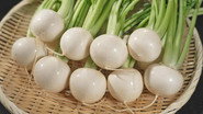 Turnip