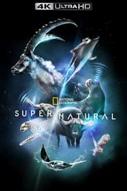 Super/Natural постер