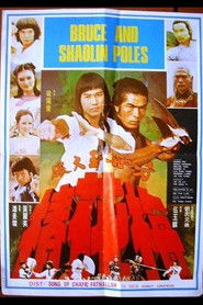 Secret of the Shaolin Poles