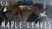 Maple Leaves